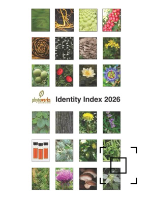 Phytowerks Identity Index –  Graphics Cover Page representing an online searchable database containing over 700 botanical and fungal reference standards used to authenticate plant materials via High-Performance Thin-Layer Chromatography (HPTLC).