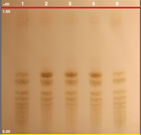 Inula helenium root chromatogram